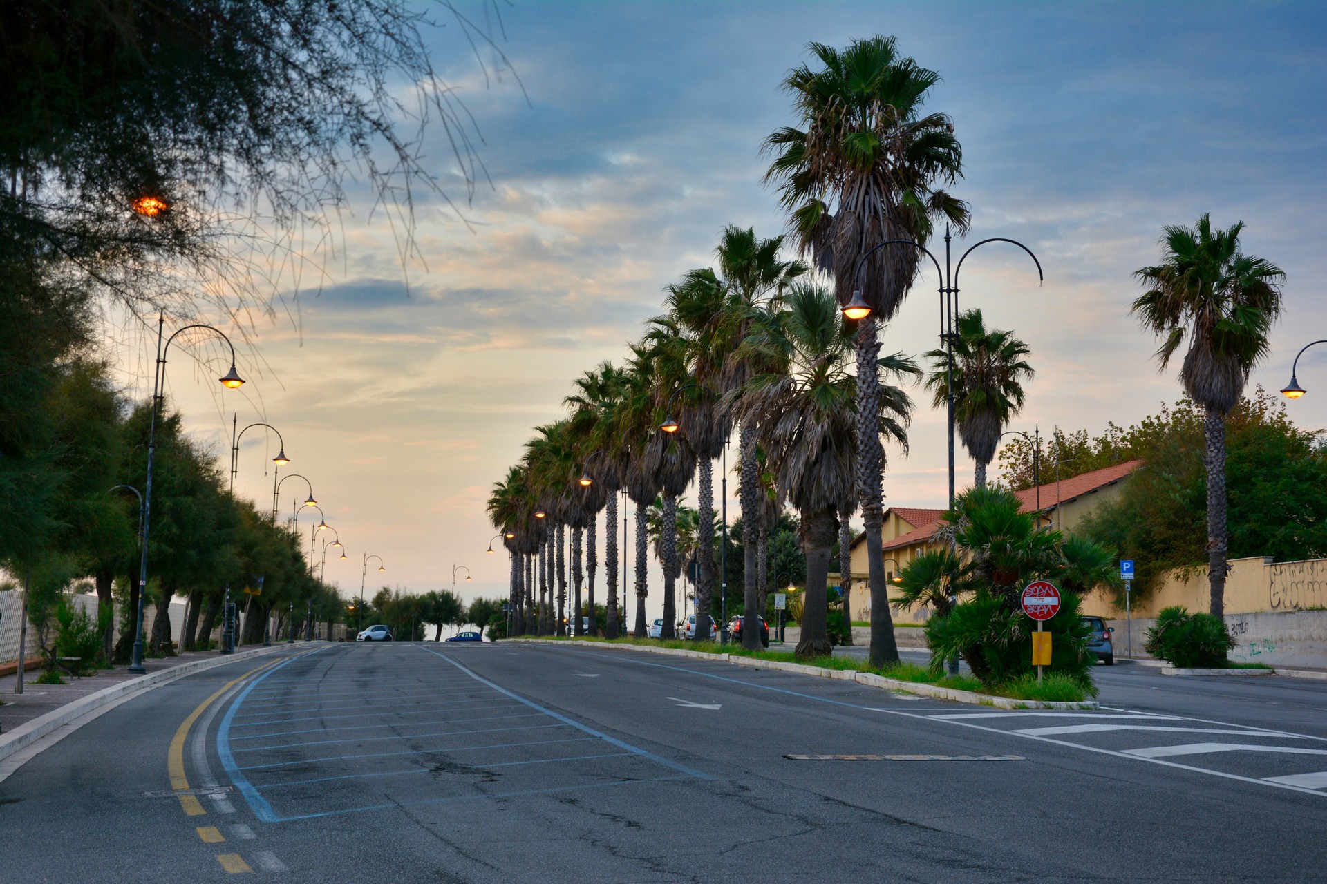 Palm-tree-lined boulevard at dusk with glowing street lamps along a quiet road.