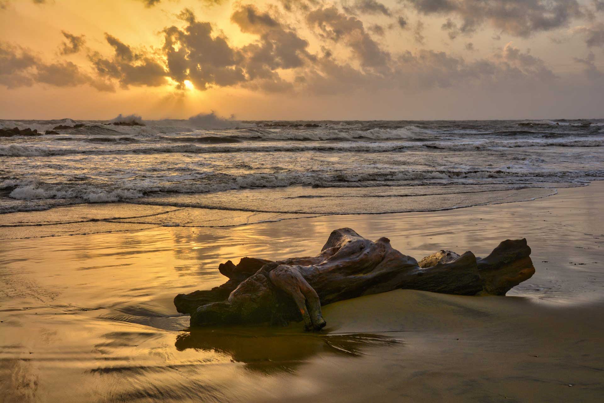 Golden sunset over a sandy beach with weathered driftwood, foamy waves, and reflective wet sand.
