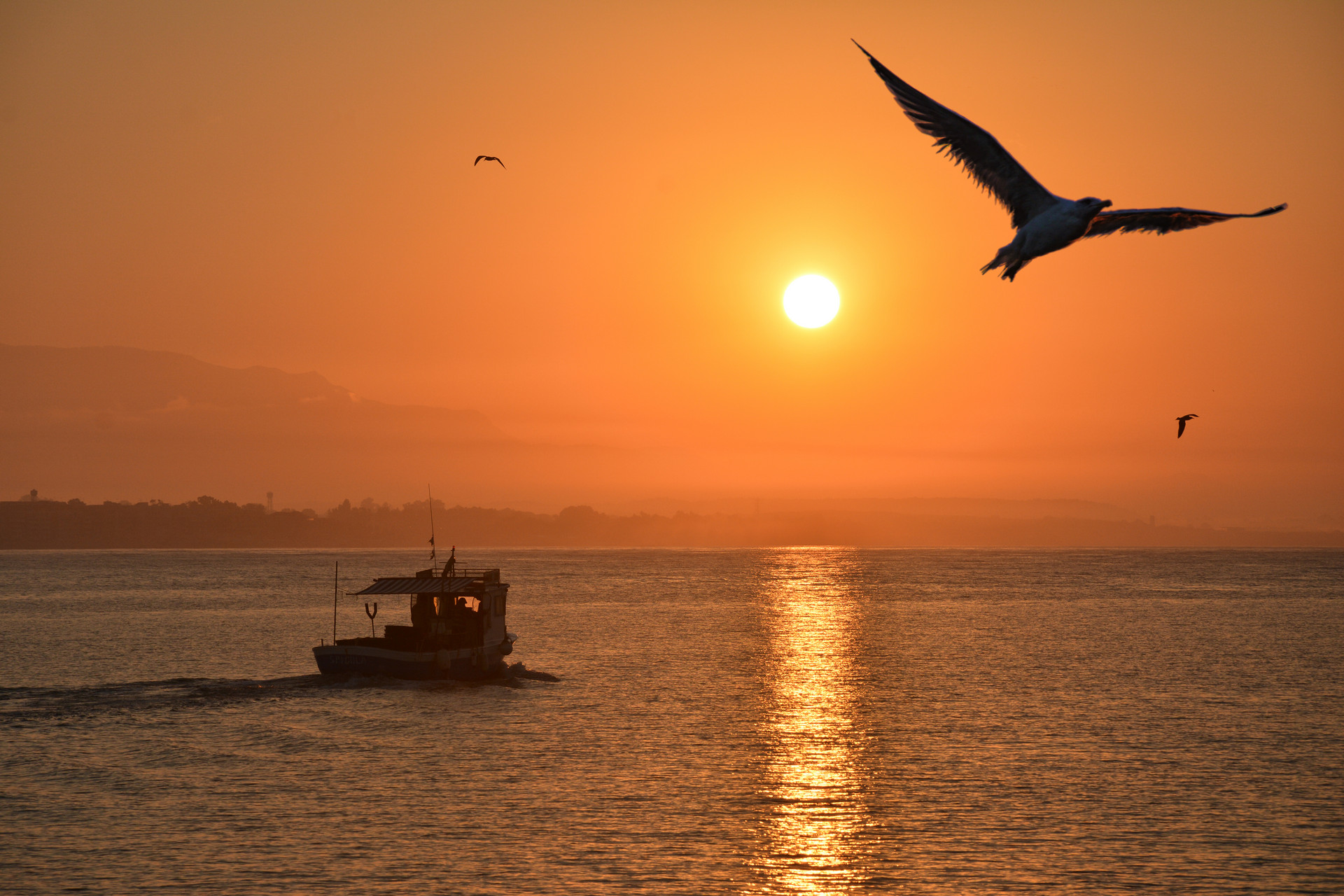 Silhouette boat on a calm orange sunset sea with seagulls in flight and sun reflected on the water.